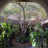 gorgeous setting at Kalachandji's in Dallas