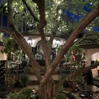   at Kalachandji's in Dallas