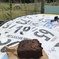 Vegan brownie at Spoke Cycles CC in Welwyn