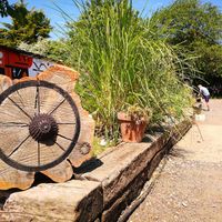 Art at Spoke Cycles CC in Welwyn