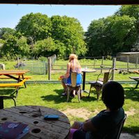 Garden at Spoke Cycles CC in Welwyn