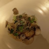 Truffle mushroom   at Aleria Restaurant in Athens