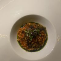 A risotto I believe   at Aleria Restaurant in Athens