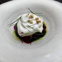   at Aleria Restaurant in Athens