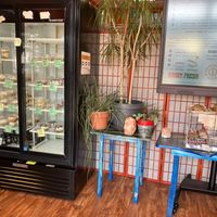  at Wildflower Vegan Café in Millville