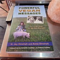  at Wildflower Vegan Café in Millville