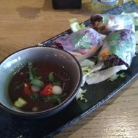 Summer rolls at De Vegetarische Slager - The Vegetarian Butcher in The Hague