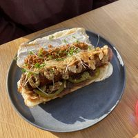 Krakens Lackin dog  at Good Dogs Plant Foods in Vancouver