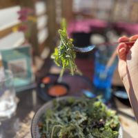 Caesar  at Good Dogs Plant Foods in Vancouver