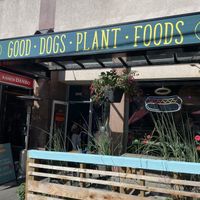 Lovely patio  at Good Dogs Plant Foods in Vancouver