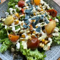   at Good Dogs Plant Foods in Vancouver