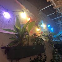 Patio’s lights  at El Rabipelao in Barcelona