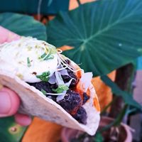 Vegan tacos at El Rabipelao in Barcelona