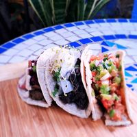 Vegan tacos at El Rabipelao in Barcelona
