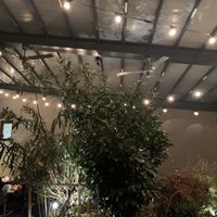 🤩 at Pizzamania in Bucharest