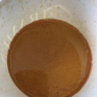 Spicy broth for the Vegan Spicy Garnet  at Rakkan Ramen in Boulder