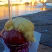 Fondente e Pistacchio Sorbetto at Gelateria Santa Trinita in Florence