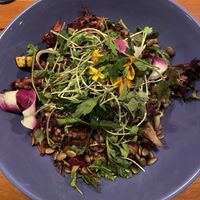 Grain bowl  at Zero Gravity Craft Brewery in Burlington