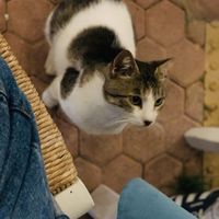   at Takis Taverna in Crete