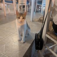  at Takis Taverna in Crete