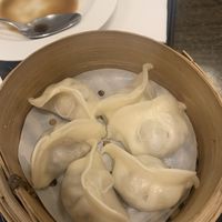 Veg dumpling - super hot temperature on inside caution!   at Karma Tea House in Wollongong