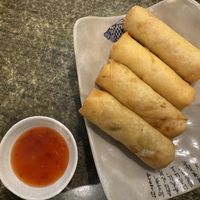 Spring rolls  at Karma Tea House in Wollongong