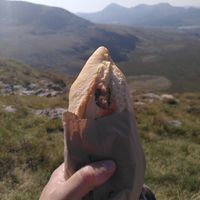 Me and the baguette enjoying the view (September 2021) at The Real Coffee Stop in Beddgelert