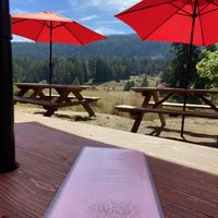 Flight of traditional or specialty cider in the outdoors with a view might be nice. at Salt Spring Wild Cider in Salt Spring Island