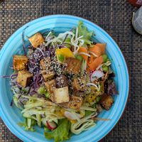 Tofu Bowl at The Little Kitchen in Geneva