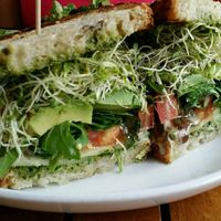 avocado pesto sandwich at Christopher's Kitchen in Palm Beach Gardens