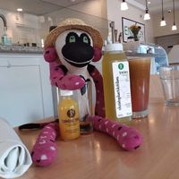 Pepper the traveling sock monkey always stops at CK's when going down the highway at Christopher's Kitchen in Palm Beach Gardens