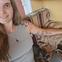 Baby kitten at Tsnim in Kamnik