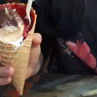 Hazelnut, mousse-au-chocolat and raspberry sauce at Die Eisbande in Hamburg