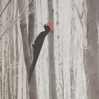  at Café Datel in Ceske Budejovice