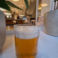 Beer at Café Datel in Ceske Budejovice