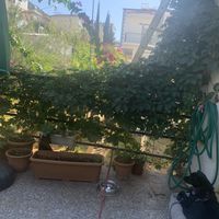 Furry friend , lots of flowers and good vibes   at Lifeboxtr in Kas