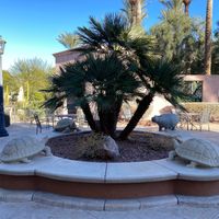 Outside dining plaza at Tacotarian in Henderson