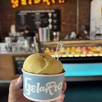 Mint chip & dark chocolate   at GelaRto in Wilmington