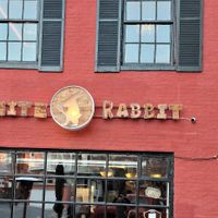 White Rabbit  at White Rabbit Gastropub in Frederick