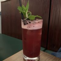 BLACKBERRY MINT GIN FIZZ  at Fancy Plants Kitchen in Chicago