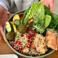 Falafel  at 14 South Lane in Hong Kong Island