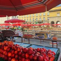 Farmers market just outside the restaurant at Br00m44 in Zagreb