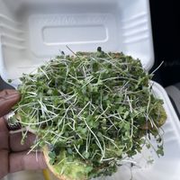 Horizon Toast  at Sol Bol in Visalia