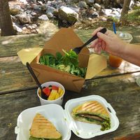 Spring Green panini and blueberry quinoa salad at Rooted: Eat More Plants in Medford