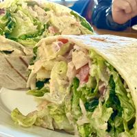 Buffalo Wrap  at Rooted: Eat More Plants in Medford
