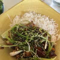 Tofu  at Snapper Rocks in Darwin