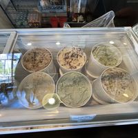 Icecream city 🎉  at Karma Cream in Gainesville