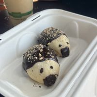 HEDGEHOG PASTRIES ?!?!  at Karma Cream in Gainesville