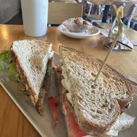   at Karma Cream in Gainesville