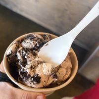 Ice cream: cookies and cream & apple pie  at Karma Cream in Gainesville